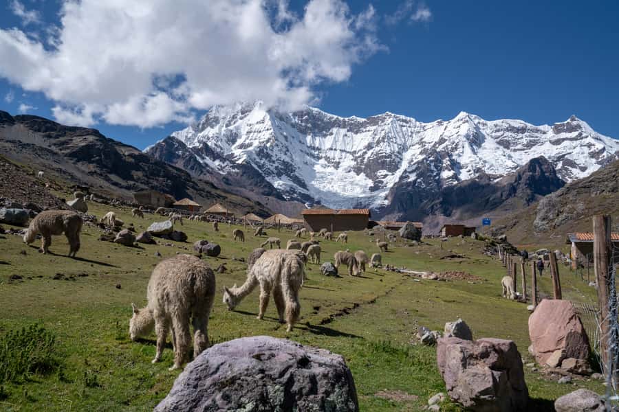 Rainbow Mountain Cusco tour - From Centro Histórico: The Drive, the Briefing, and the Pace