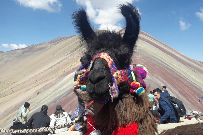 Rainbow Mountain Tour Vinicunca (Full Day) - Meals on the ground: breakfast, buffet lunch, and what to budget for