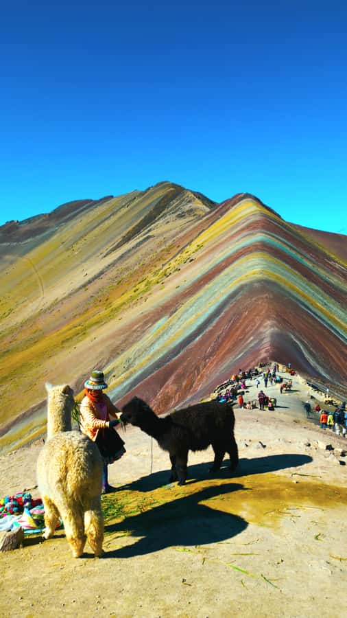 rainbown mountain Vinicunca 1 day - Cusco to Vinicunca: the real vibe of this one-day trip