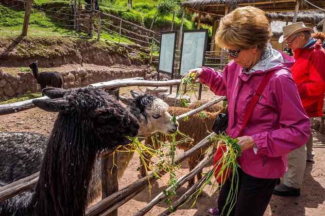 Sacred Valley and Machu Picchu Tour in 2 days with Peru Vip - What It Costs, and Whether It’s Good Value