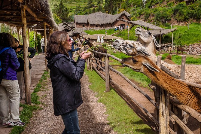 Sacred Valley and Machu Picchu Tour in 2 days with Peru Vip - Who Should Book This Peru Vip Tour