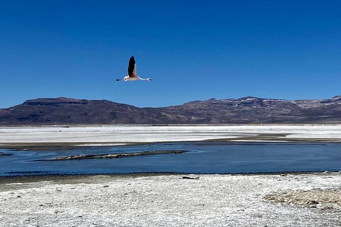 Salinas National Reserve PRIVATE TOUR - Price and value: why $118 can actually make sense here