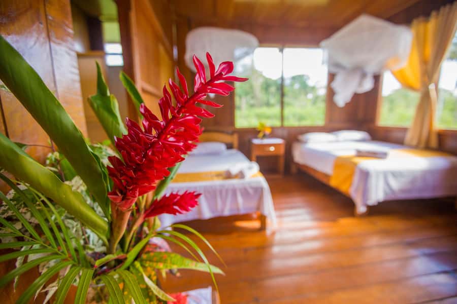 Sandoval lake 2 Days / 1 Night - MonteAmazonico Lodge: comfort basics, food, and the WiFi reality check