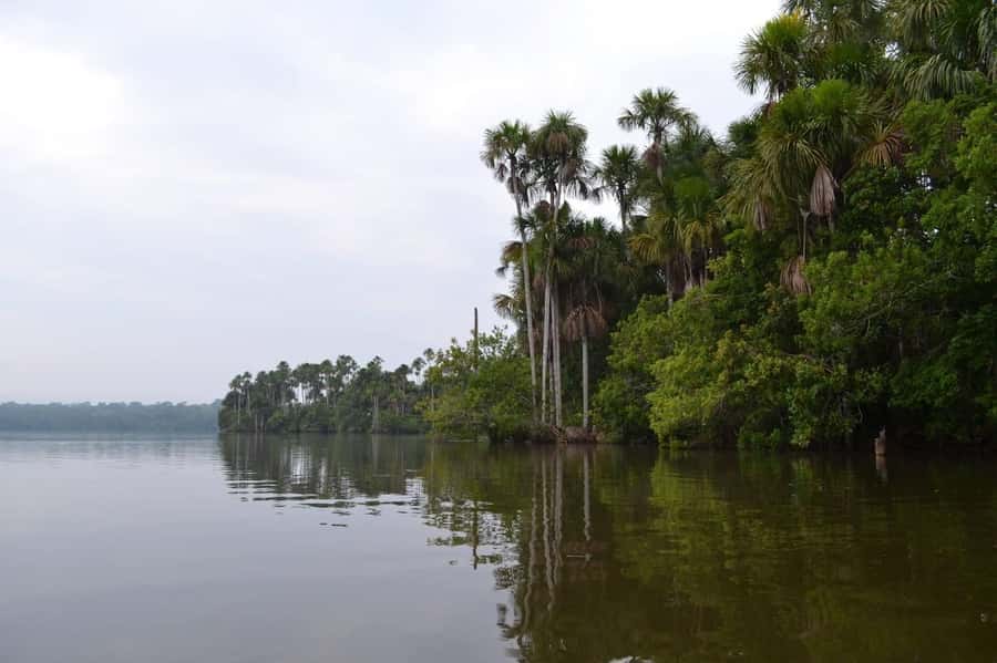 Sandoval lake 2 Days / 1 Night - Price and value: $140 plus the Tambopata Reserve entrance