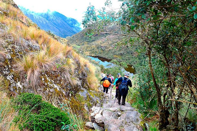 Small Group: 4-Day Inca Trail Trek to Machu Picchu - Day 2: Dead Woman’s Pass and the switch into cloud-forest hiking