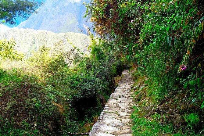 Small Group: 4-Day Inca Trail Trek to Machu Picchu - Day 4: Sun Gate timing, first Machu Picchu view, then train back to Cusco