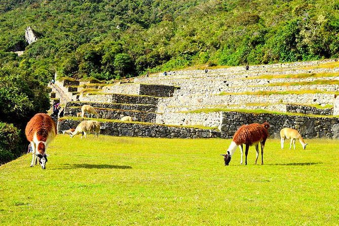 Small Group: 4-Day Inca Trail Trek to Machu Picchu - Price and value: what $850 actually buys you