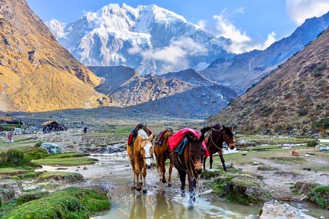 Small Group 5 Days Salkantay and Machu Picchu by Llactapata Tour - Day 1: Cusco to Challacancha, then Humantay Lake optional hike