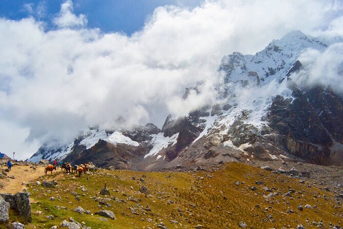 Small Group 5 Days Salkantay and Machu Picchu by Llactapata Tour - Day 2: the Salkantay Pass (4600m) and the switch into warmer jungle