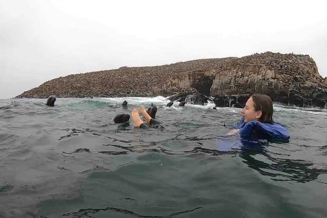 Swimming with Sea Lions in Lima - Getting from your hotel to the islands (and why the timing matters)