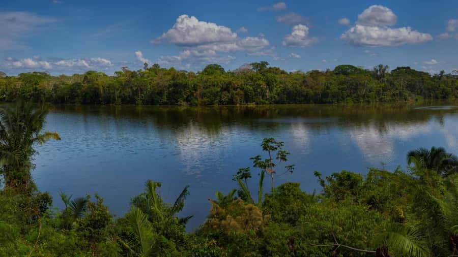 Tambopata: Lake Sandoval Canoeing with Lunch - Canoeing Time: How to Make the Most of the Quiet Hours