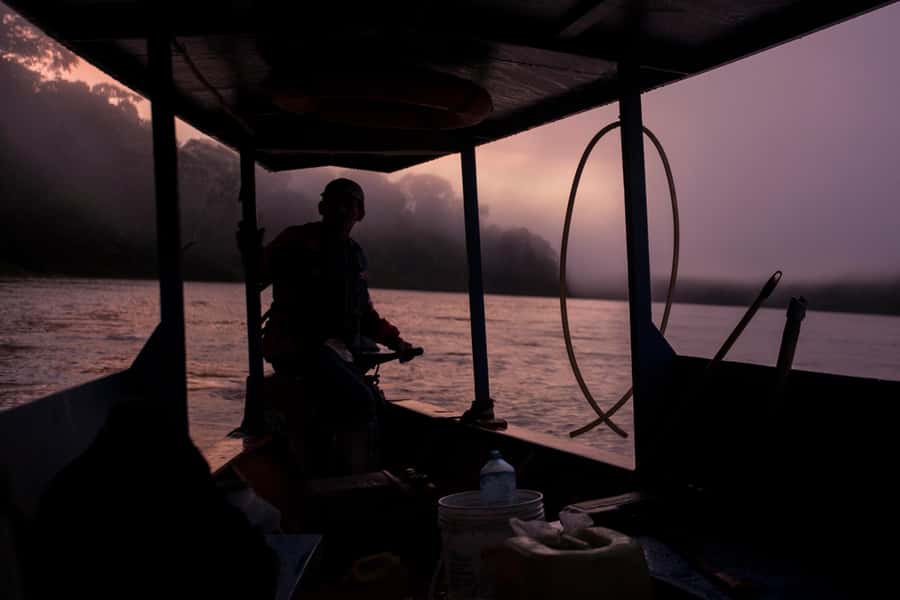 Tambopata Macaw Clay Lick 4 days/3 nights - Day 1: Transfers, Hacienda Tambopata, and an easy first rainforest step