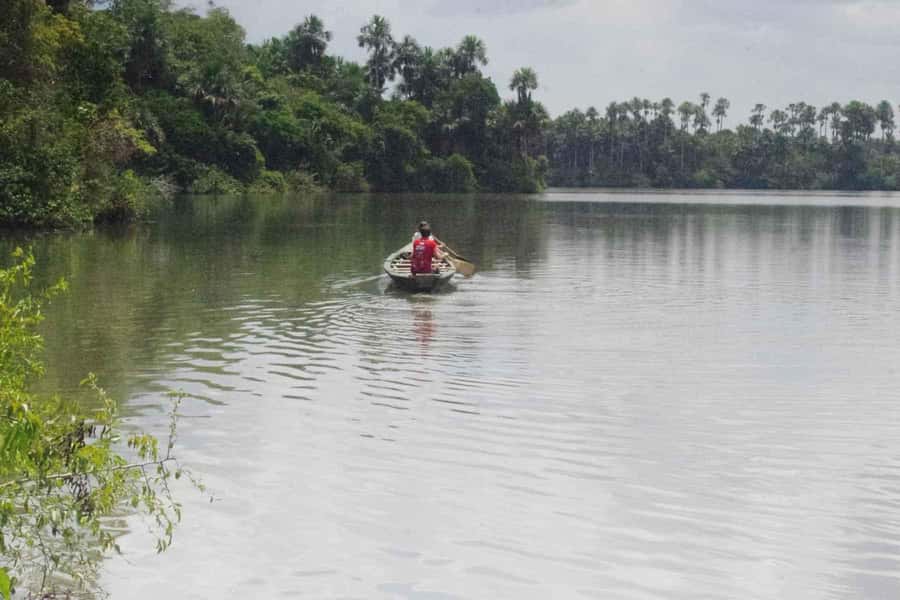 Tambopata: Multi-Day Amazon Rainforest Tour with Local Guide - Day 1: canopy tower, zip-line, and caiman spotting on the river