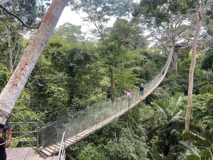 Tambopata: Multi-Day Amazon Rainforest Tour with Local Guide - Day 4: parakeet clay lick at first light and the return to Puerto Maldonado