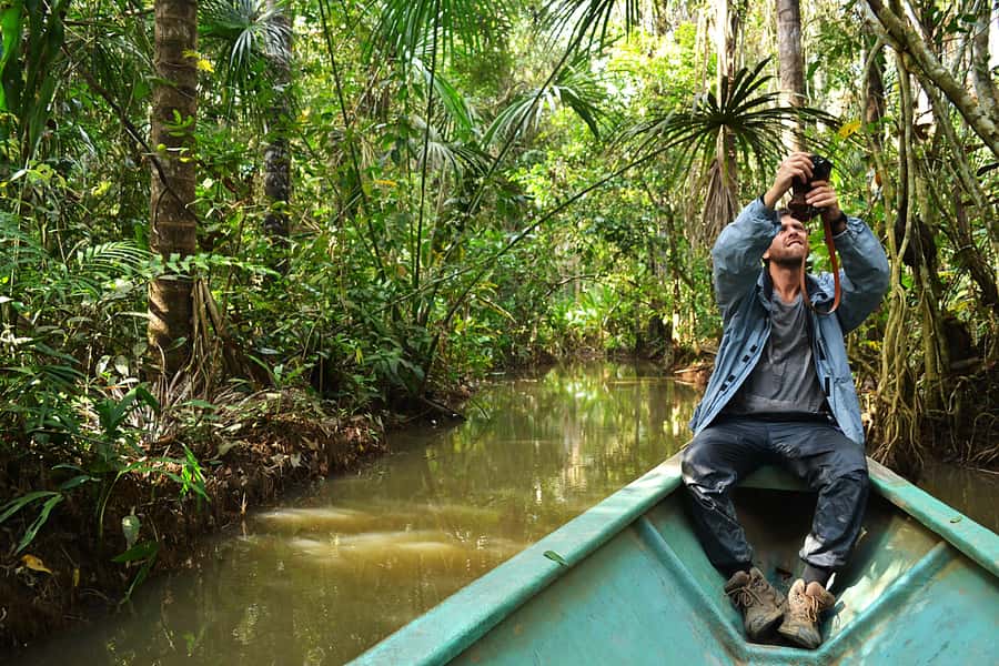 Tambopata National Reserve Tour 3 Days - Day 2: Sandoval Lake hike, rowboat wildlife, and a nocturnal night walk