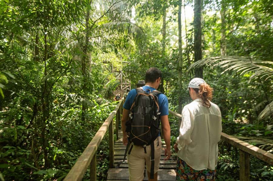 Tambopata National Reserve Tour 3 Days - Price and value: what $260 usually covers here