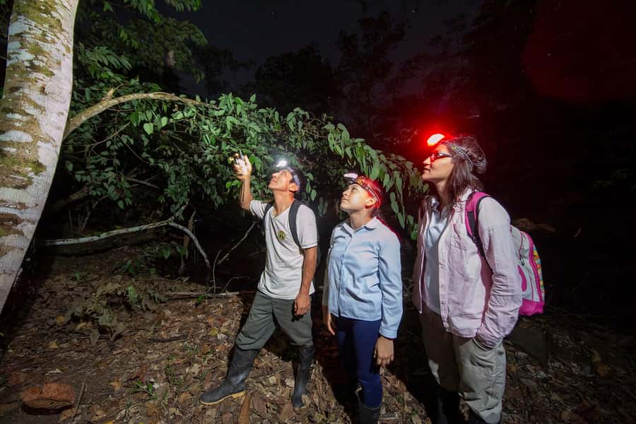 Tambopata Rainforest Night Walk & River Exploration - Key takeaways before you go