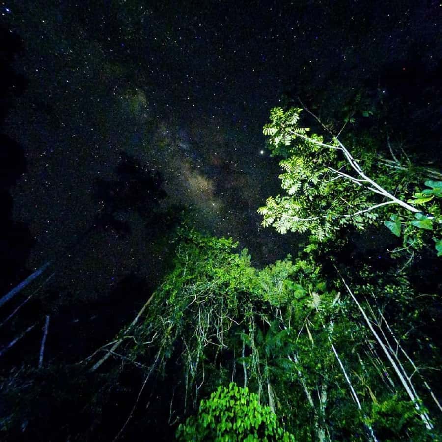Tambopata Rainforest Night Walk & River Exploration - What to bring (and what to leave at home)