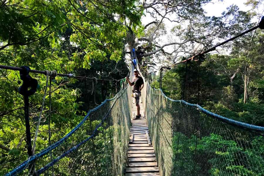 Tambopata: Zipline Adventure & Kayak to Monkey Island - Best-fit traveler: who this day trip is for
