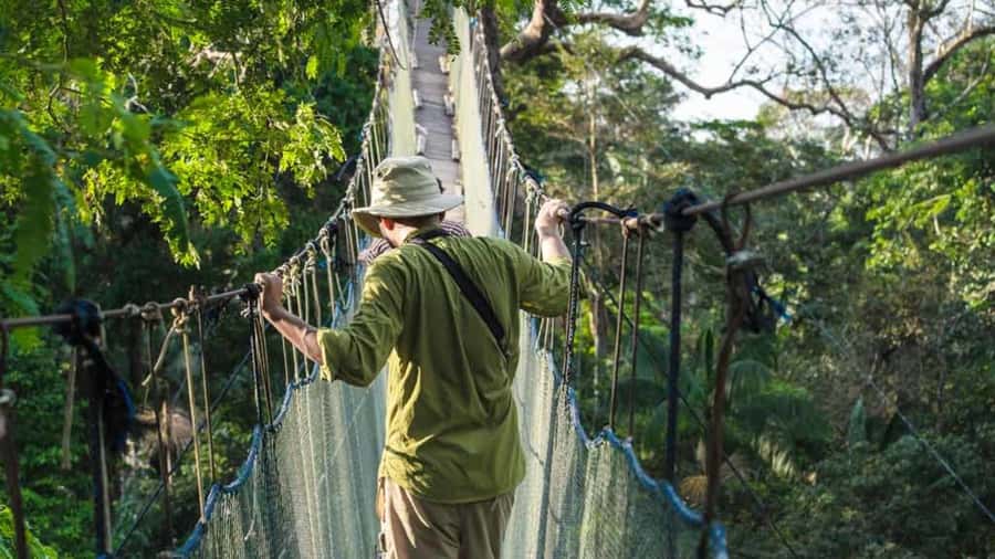 Tambopata: Zipline Adventure & Kayak to Monkey Island - Two 190 m zip lines and the 100 m bridge: adrenaline with a structure