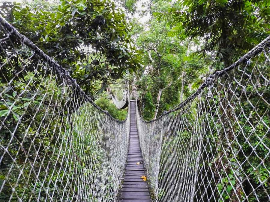 Tambopata: Zipline Adventure & Kayak to Monkey Island - Price and value: is $59 a fair deal for a full day?