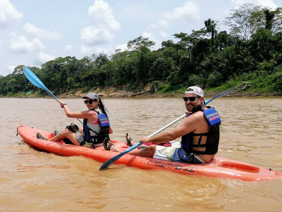 Tambopata: Zipline Adventure & Kayak to Monkey Island - Treetop tower and canopy bridges: what “up above” actually feels like