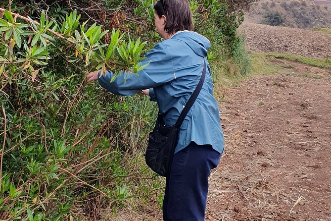 The Textile Workshop Experience in Cusco Region - Transportation and timing: plan for the half-day, not a city sprint