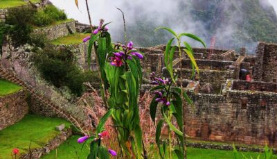 Tour Machu Picchu + Mountain of Huayna Picchu 2 days - Day 1: Cusco to Ollantaytambo, then the train to Aguas Calientes