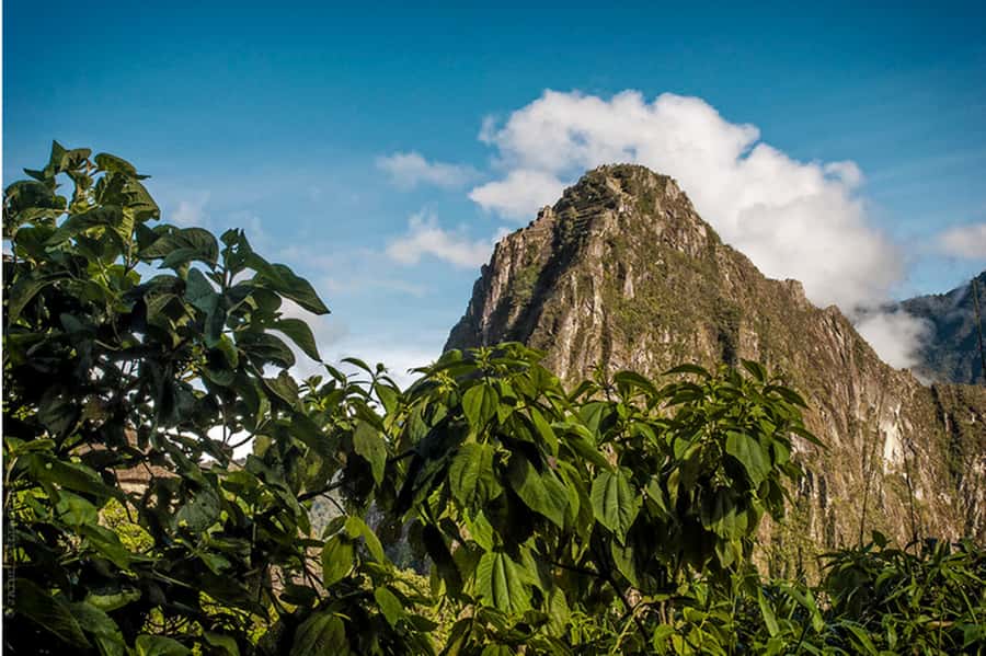 Tour Machu Picchu + Mountain of Huayna Picchu 2 days - Buses, tickets, and timing: how the logistics protect your time