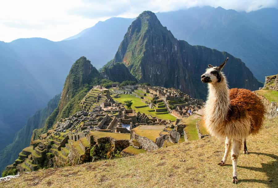 TOUR TO MACHU PICCHU FULL DAY BY TRAIN – The Best Adventure - Cusco to Machu Picchu: what the one-day plan is really like