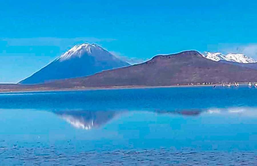 Tour to the Salinas Lagoon and National Reserve in Arequipa - The salt flats at Salinas: why this place looks unreal in photos