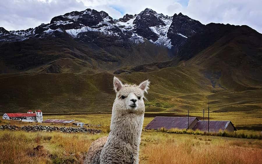 TRIP FROM PUNO TO CUSCO WITH THE ROUTE OF THE SUN - Key moments worth your attention on the Route of the Sun
