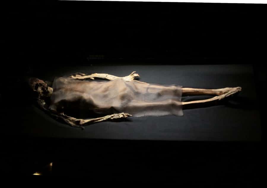 Trujillo: El Brujo Complex Archaeological Tour with Tickets - Price and value: is $109 fair for El Brujo?