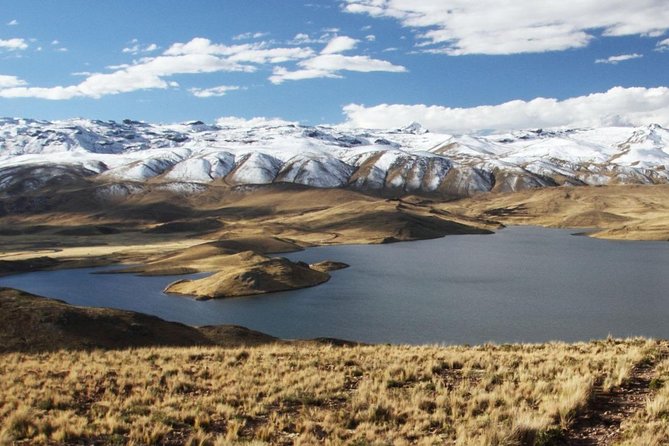Turist Bus Colca Canyon (Chivay) To Puno - Laguna Lagunillas: Mirror-Like Lagoons and Andean Flamingos