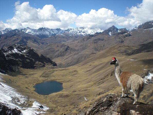 Ultimate Lares Trek & Inca Trail 5 days - Key things that make this trek worth your time