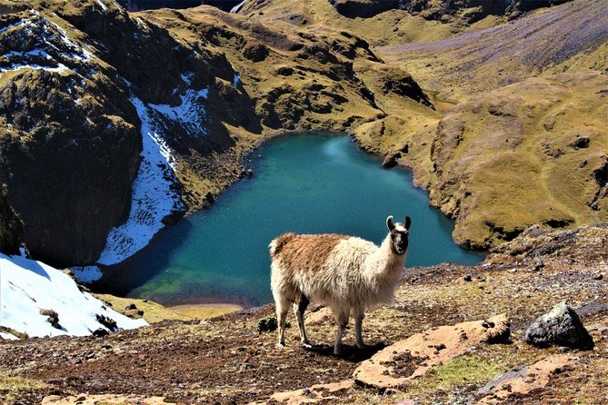 Ultimate Lares Trek & Inca Trail 5 days - Day 3: From Huaran downhill walking to Ollantaytambo nights