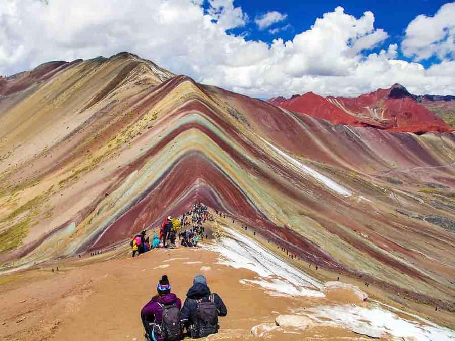 Vinicunca Mountain Tour - Full Day Tour to Rainbow Mountain - Andean Flora and Fauna: What to Look For at This Elevation