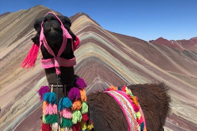 Vinicunca Rainbow Mountain Full-Day Tour from Cusco - The 4:00 am departure that makes the whole day work