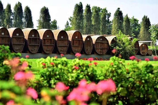 Winery and Pisco Distillery tour - Who This Tour Suits Best (and Who Might Want a Different Style)
