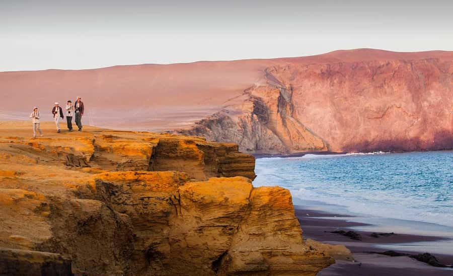Wonders of Paracas: Ballestas Islands and National Reserve - Key things to know before you go
